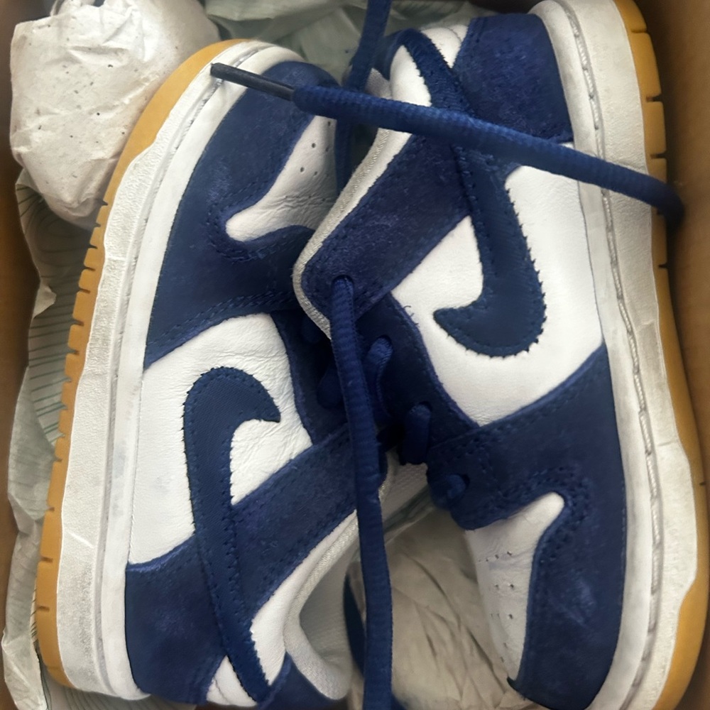 Nike sb dunk low